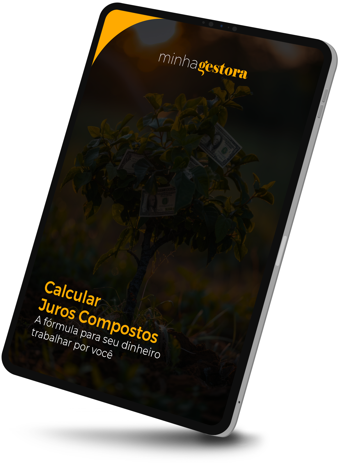 Ebook como calcular juros compostos