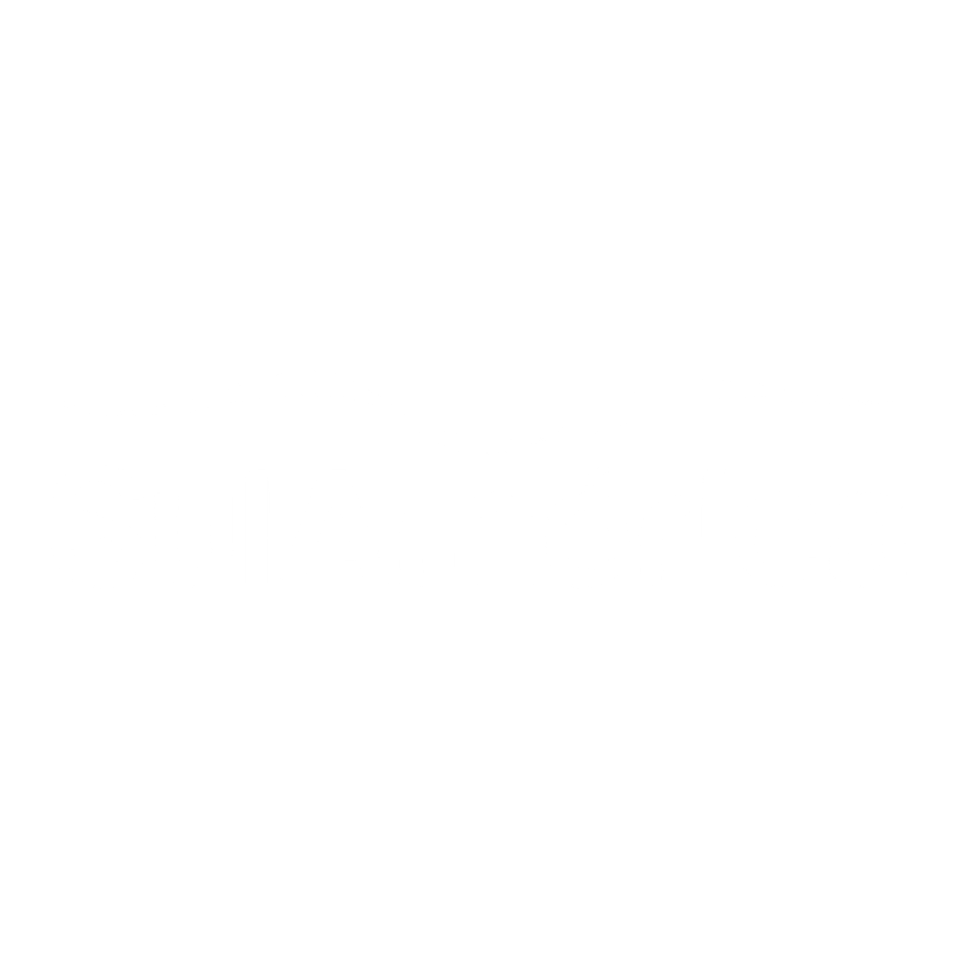 logo sulamerica seguros
