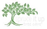 A green illustration of a leafy tree with exposed roots, accompanied by the text "spruce it up tree care."