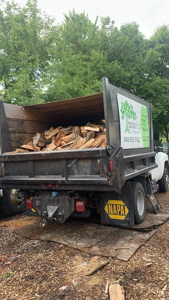A dump truck filled with cut firewood parked on a wood chip covered lot with trees in the background.