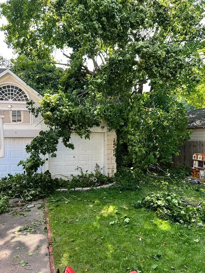 A large tree branch has fallen onto the roof and garage door of a house, covering part of the driveway and front lawn.