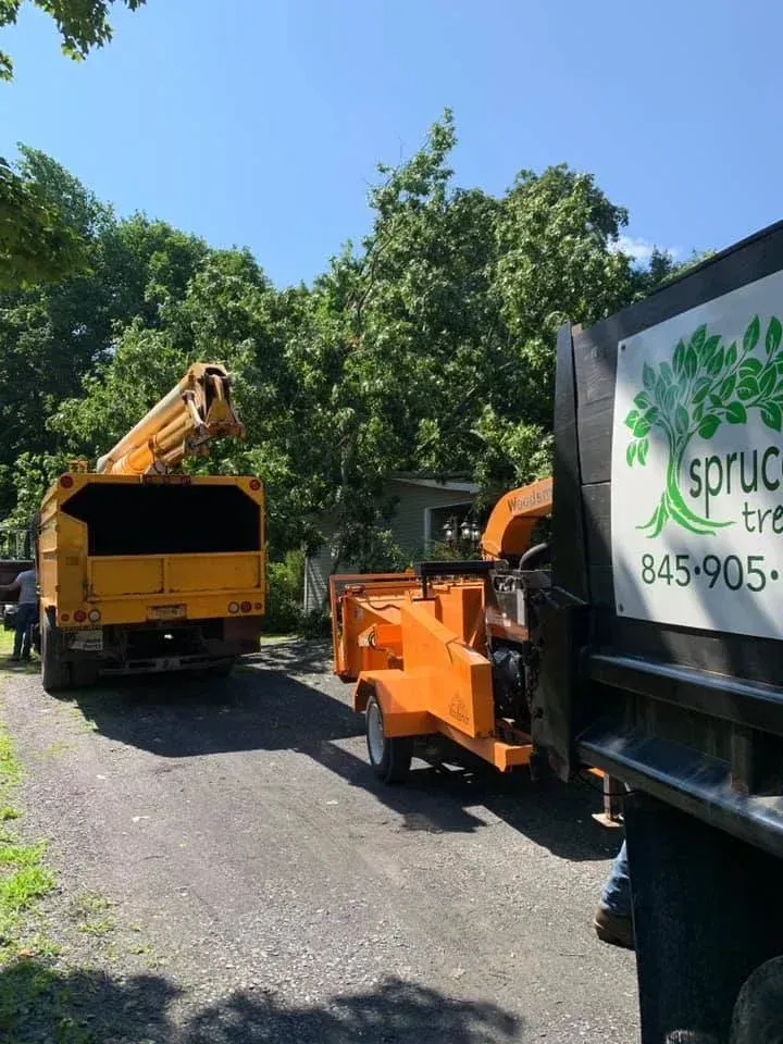 A yellow dump truck and a wood chipper parked on a gravel driveway in front of a tree-lined house.
