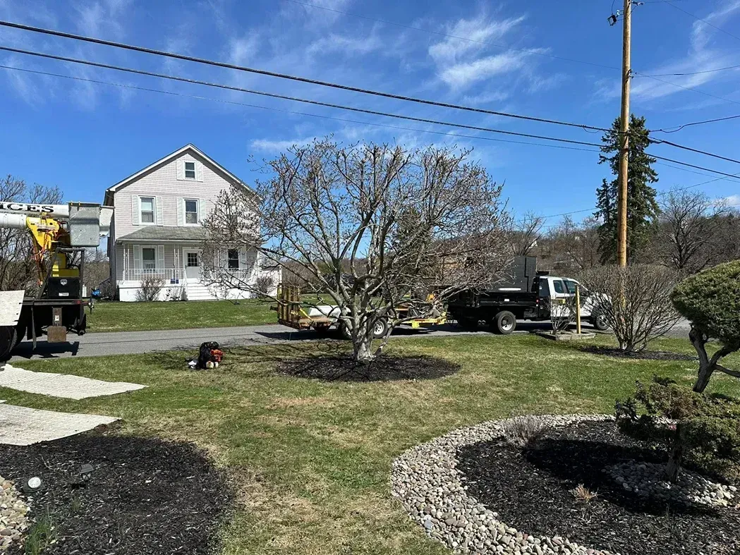 A yellow utility bucket truck and a black work truck are parked in front of a light-colored house on a sunny day.