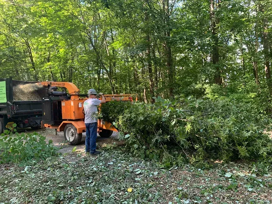 A person feeds tree branches into an orange wood chipper connected to a truck in a wooded area.