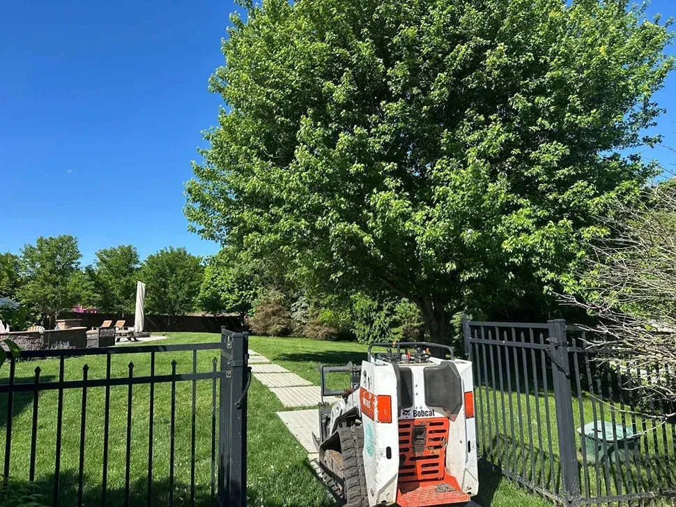 A white skid-steer loader sits on a lawn path in a backyard with a large tree and a black metal fence.