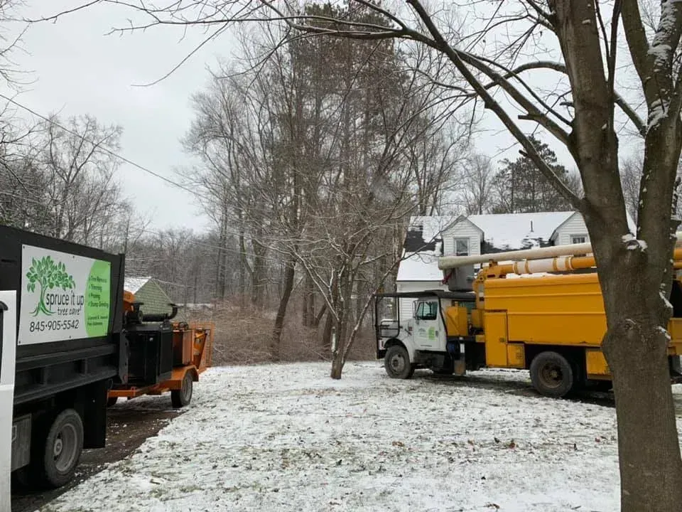 A yellow bucket truck and dump truck with tree service branding parked on a snow-covered yard in front of a house.