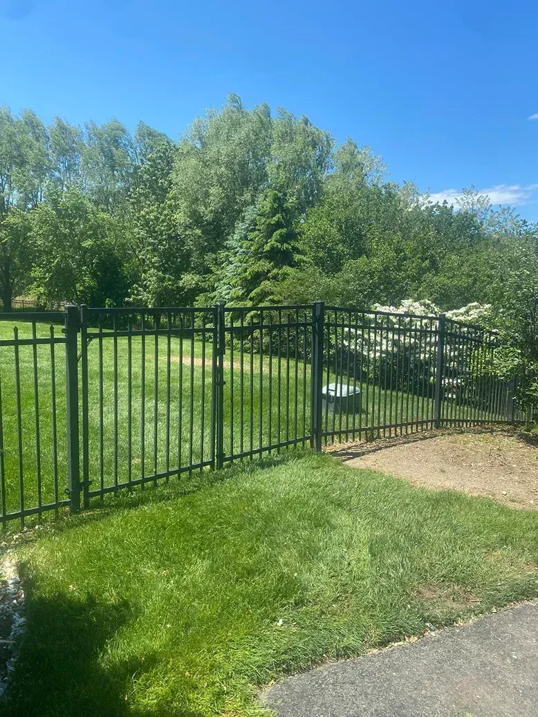 A black metal fence stretches across a green lawn, backed by a line of mature trees under a clear blue sky.