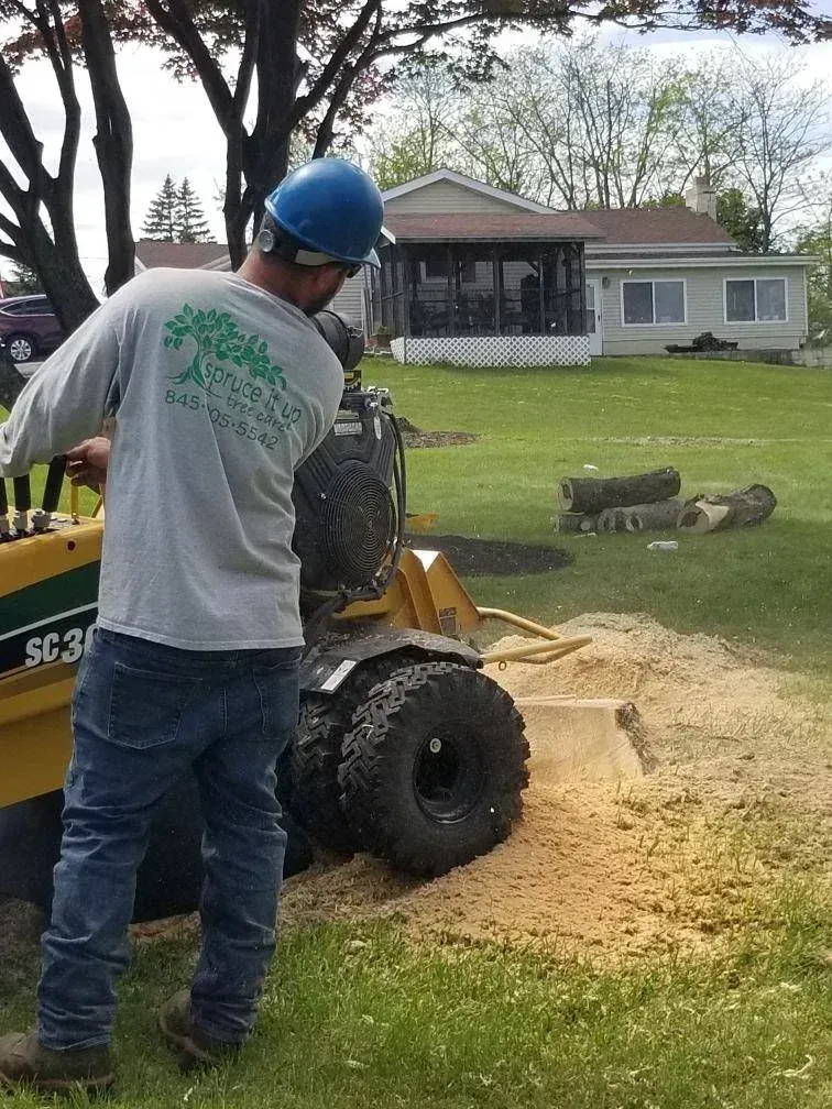A worker in a blue hard hat operates a stump grinder, creating a pile of wood chips in a grassy yard.