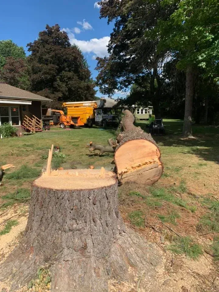 A large, freshly cut tree stump sits in a yard with a severed log nearby and a yellow truck parked in the background.