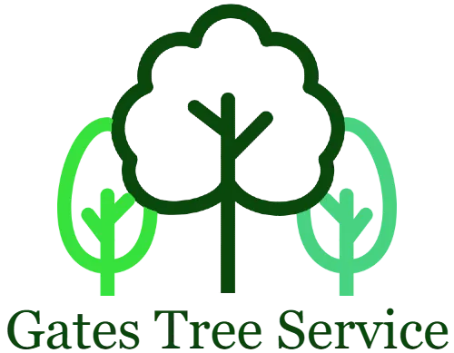 Gates Tree Service | Tree Service in Yazoo City, MS