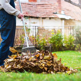 Spring and Fall Cleanups — Crystal, MN — Whipper Snapper Lawn Service