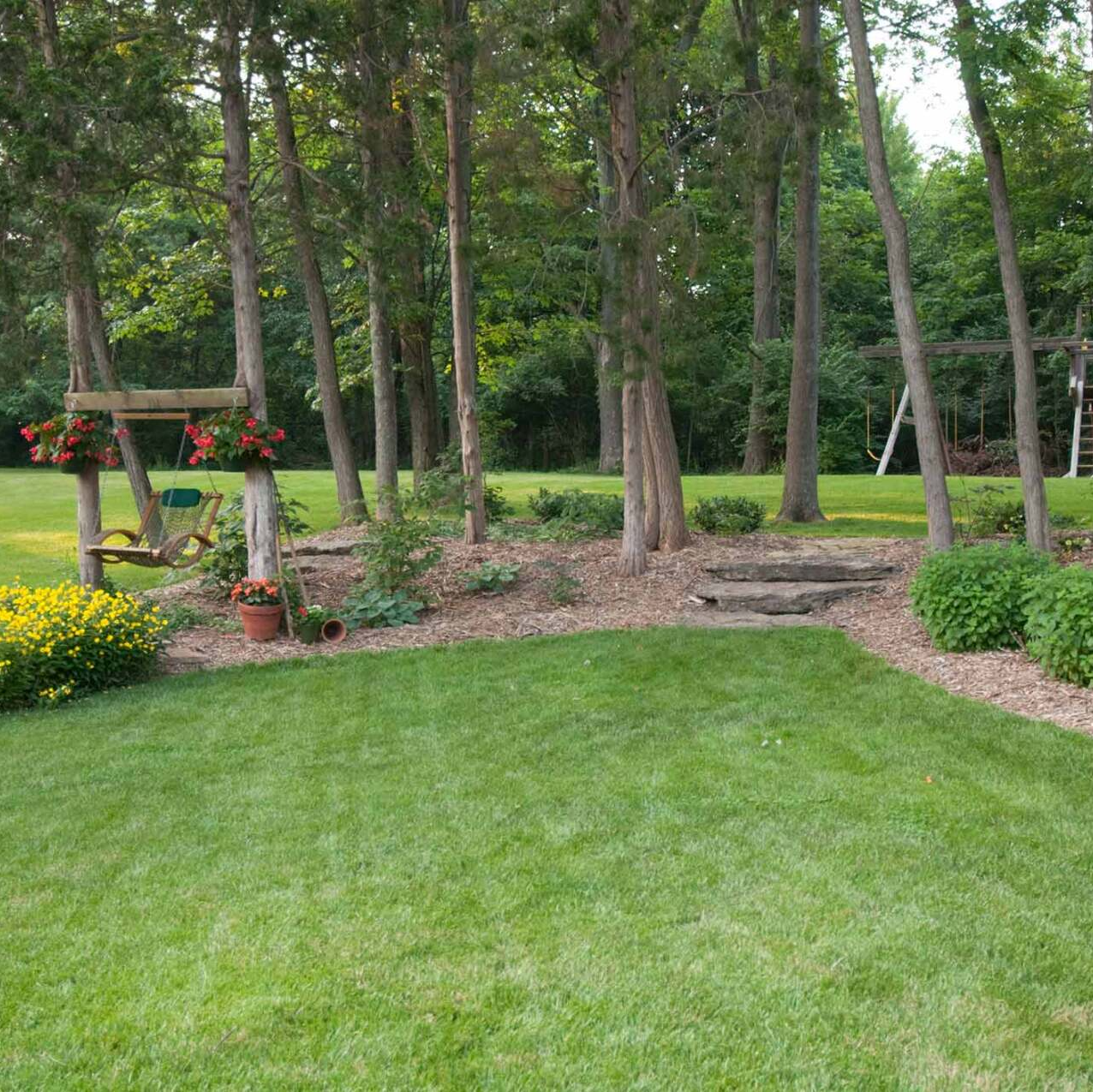 Completed Lawn Maintenance — Crystal, MN — Whipper Snapper Lawn Service