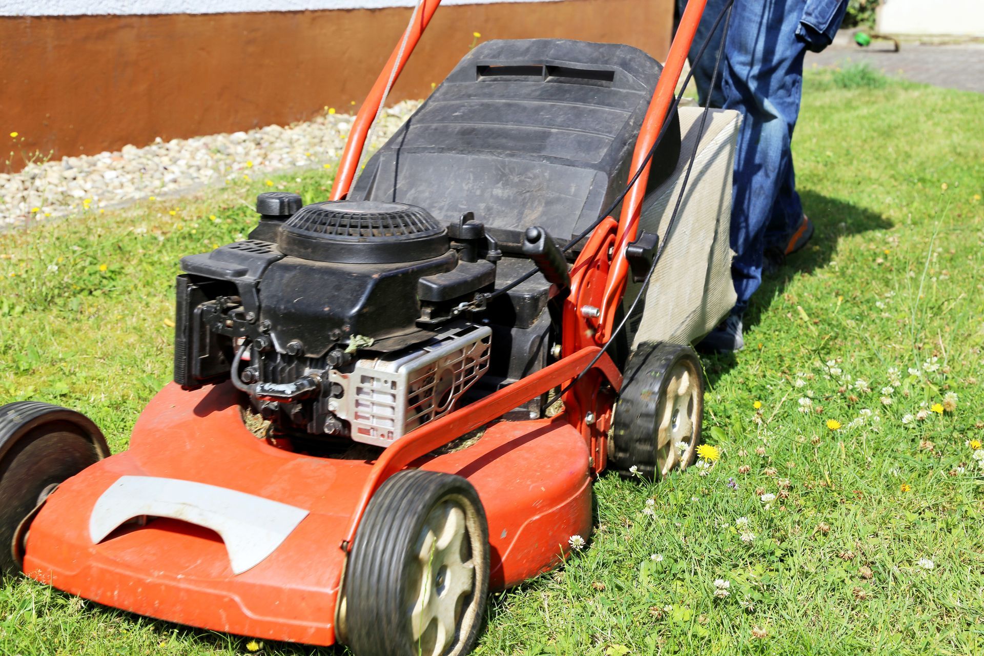 Person mowing green lawn with red push mower during professional lawn care service.
