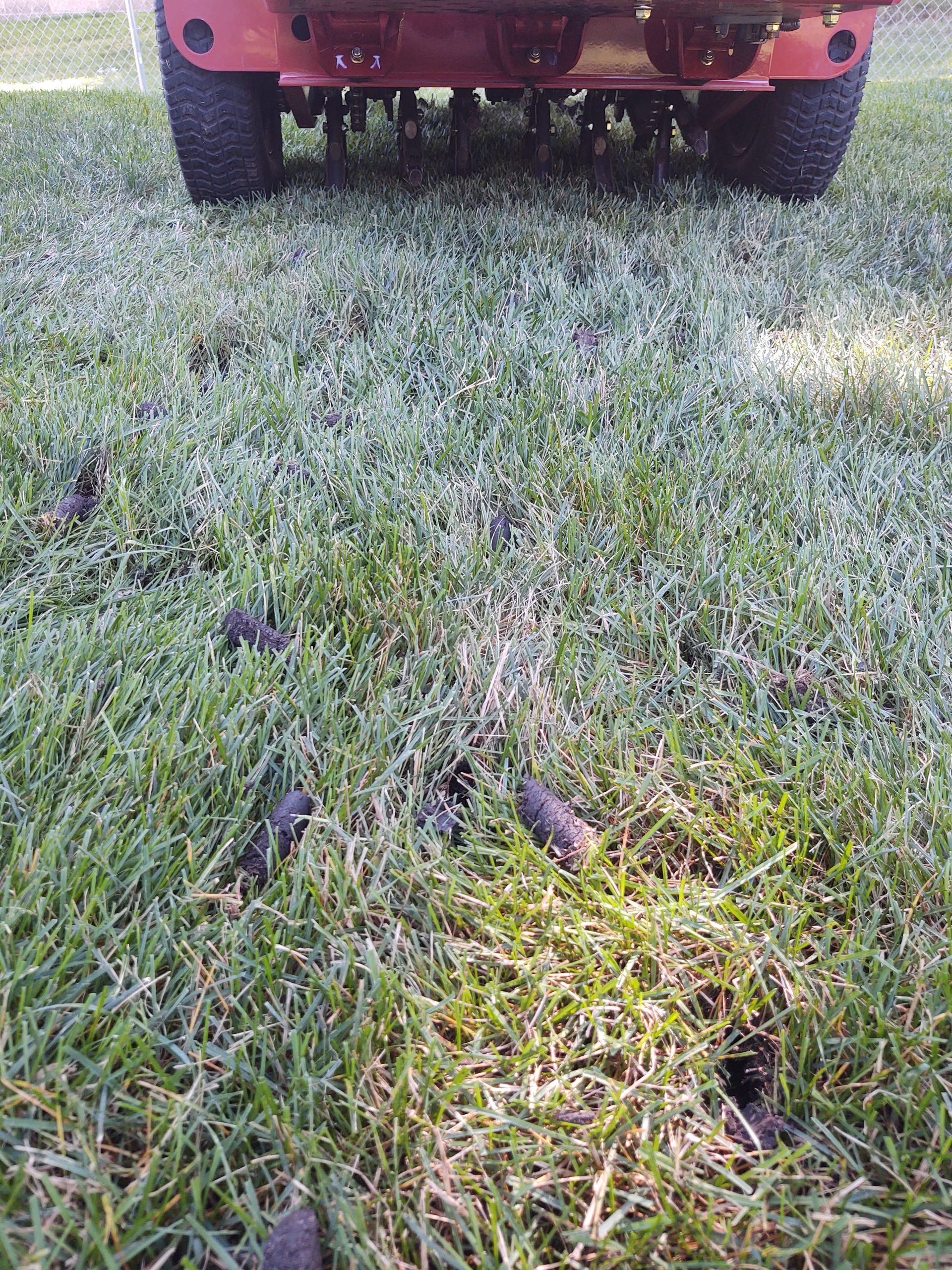 A lawn aerator creating holes in a grassy lawn with dark plugs visible; reddish-brown machine.