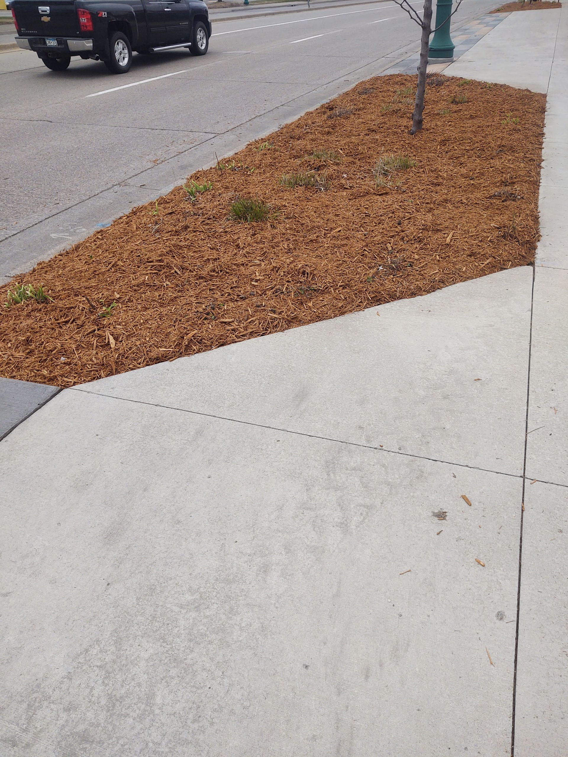 A brown wood-chip filled planter next to a concrete sidewalk and a street with a passing black truck.