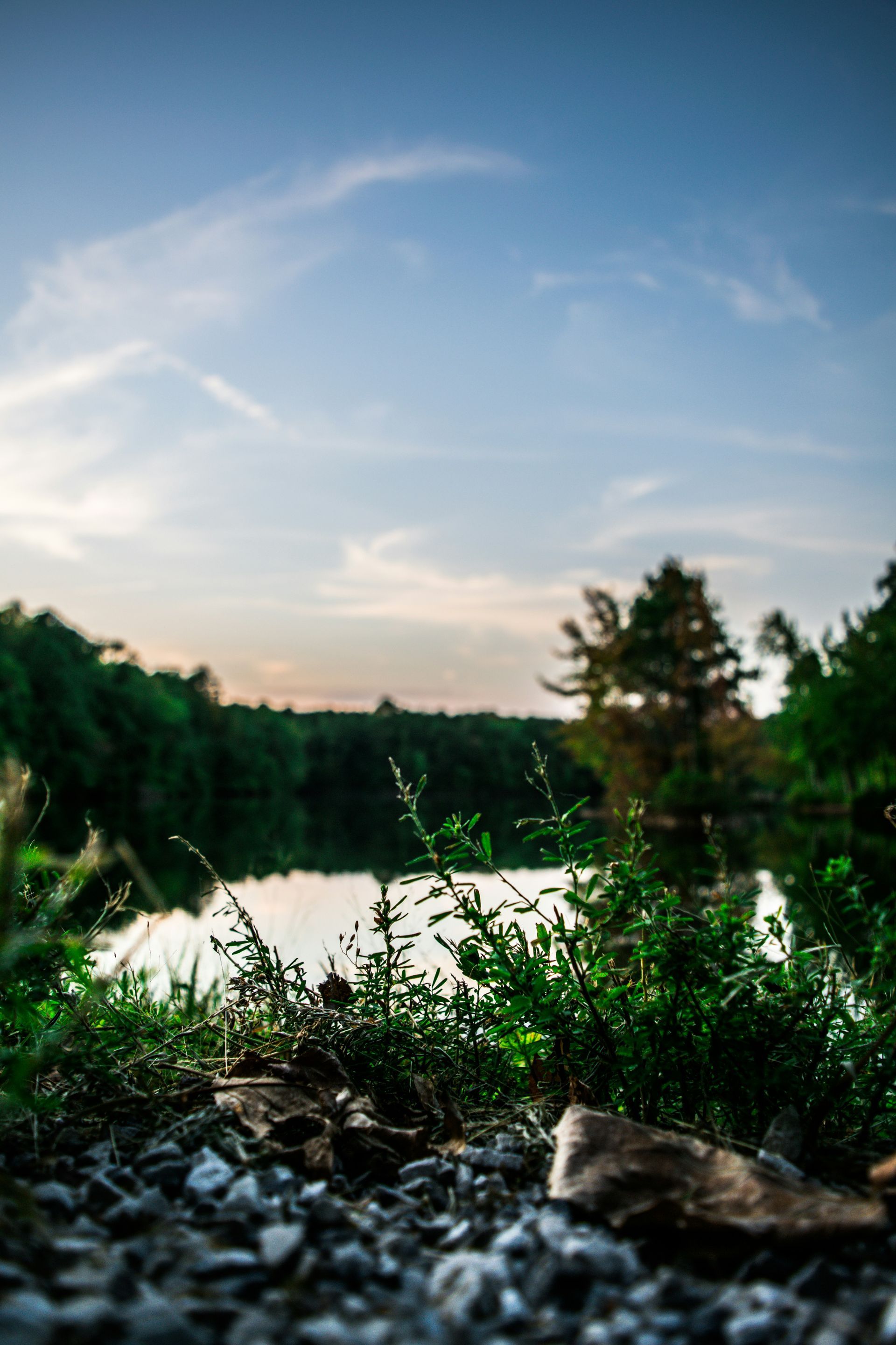 A lake surrounded by trees and rocks with a blue sky in the background.