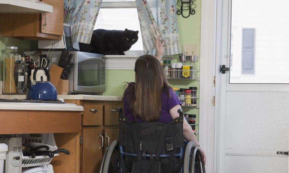 A woman in a wheelchair is sitting in a kitchen with a cat on the window sill.
