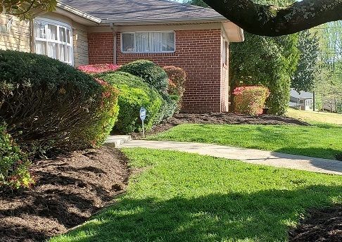 a brick house with a lush green lawn and a walkway leading to it .