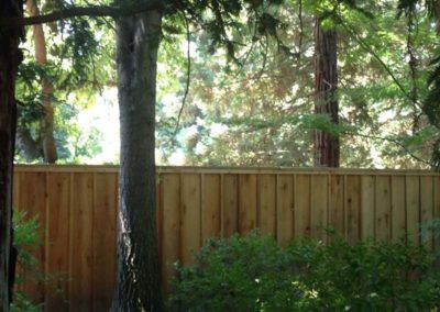 Residential Fencing Contractor
