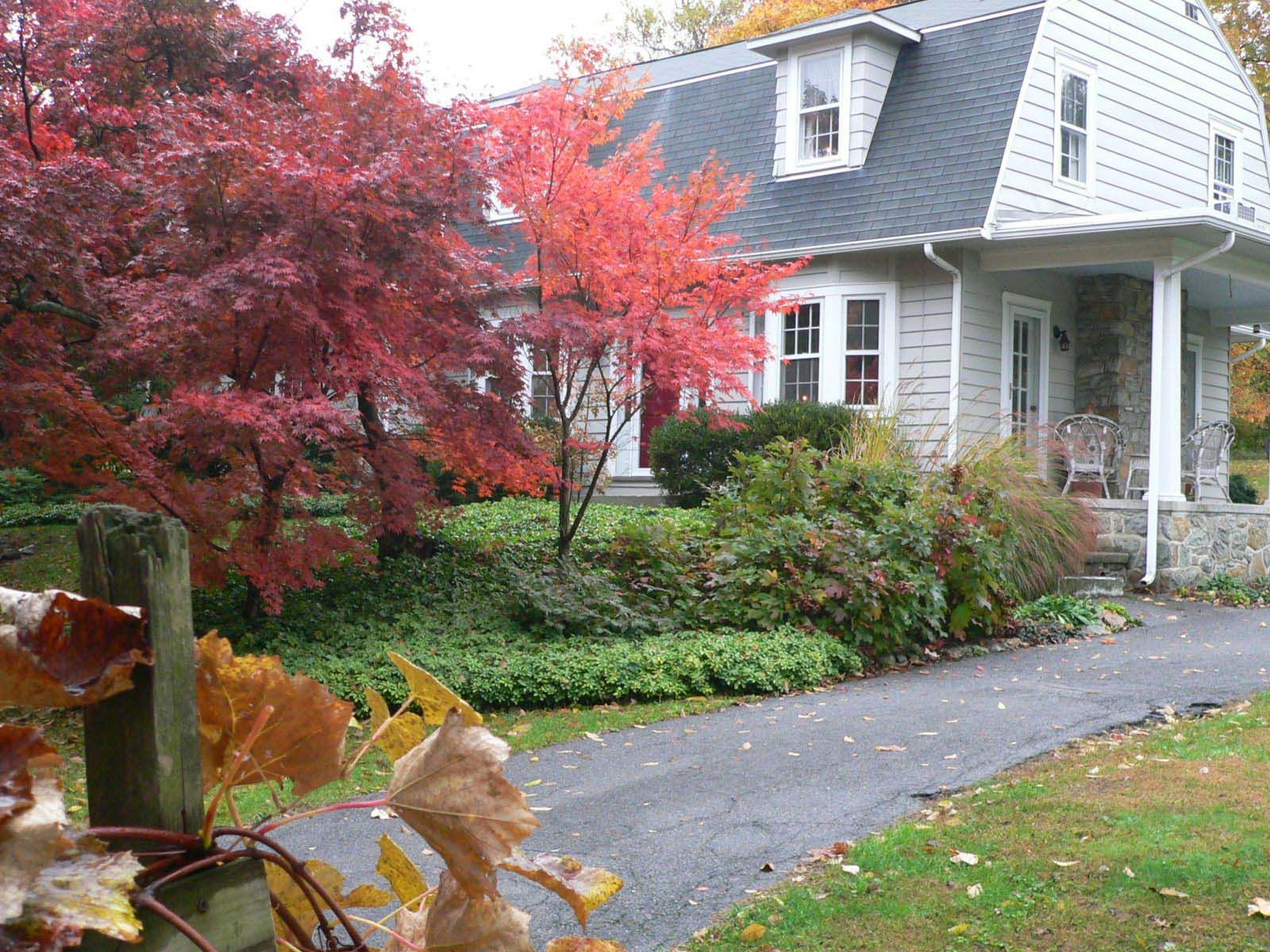 Modern house with nice roofing and siding — Mount Wolf, PA — Dover Roofing Services