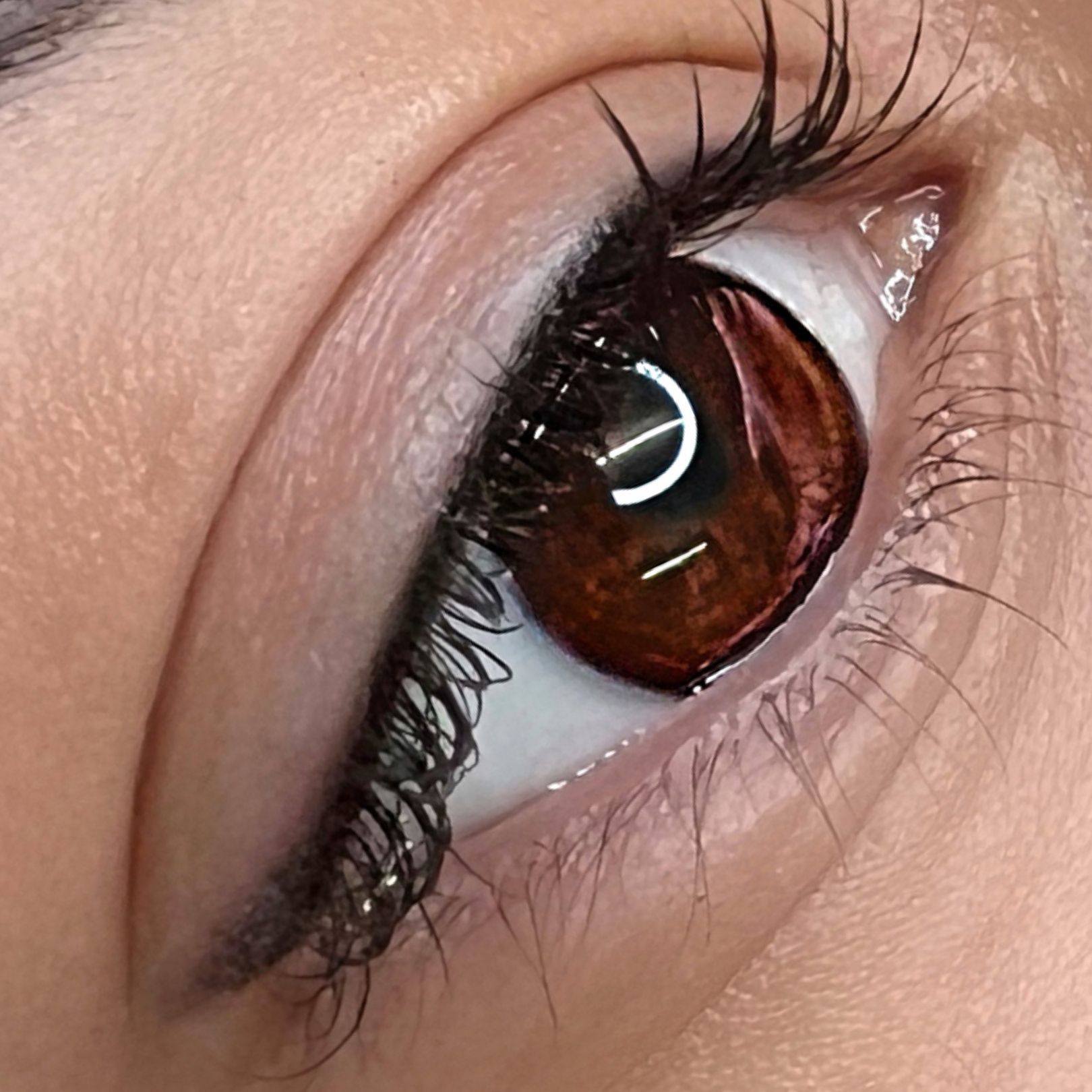 Eine Nahaufnahme des braunen Auges einer Frau mit langen Wimpern
