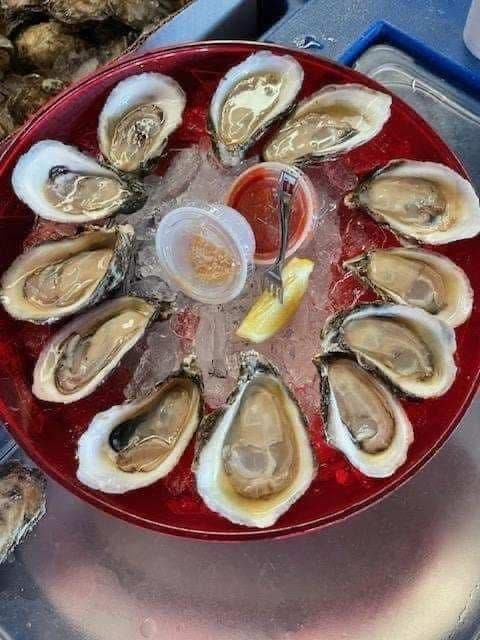A red plate topped with oysters and ice.