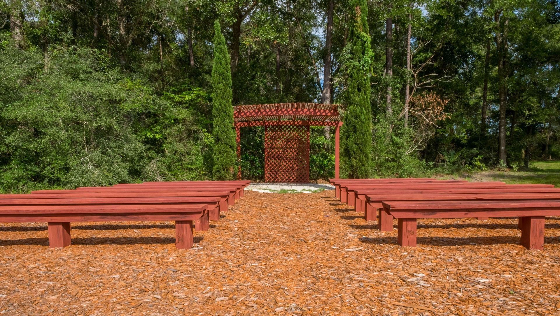 A row of red benches in the middle of a forest.