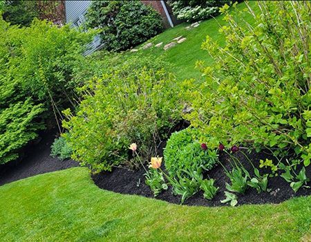 A garden bed with flowers and shrubs in front of a house.