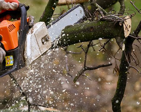 Chainsaw cutting through a tree branch, creating wood chips. Orange and silver saw, outdoors.