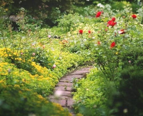 Curving stone path through lush garden with yellow and red flowers