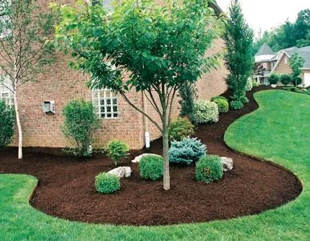 Landscaped yard with a young tree, shrubs, and dark mulch beside a brick house and green lawn