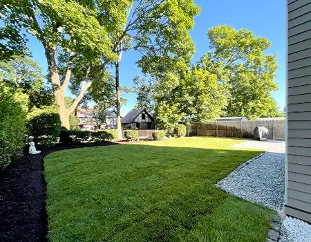 A grassy backyard under a clear blue sky, featuring dark mulch, a gravel pathway, and mature trees near a distant house.