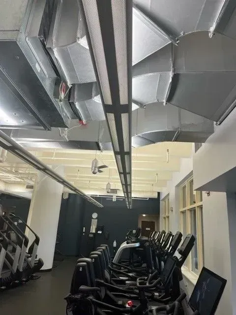 A row of treadmills are lined up in a gym.