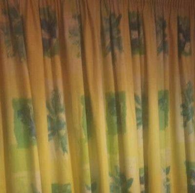 green and yellow curtains