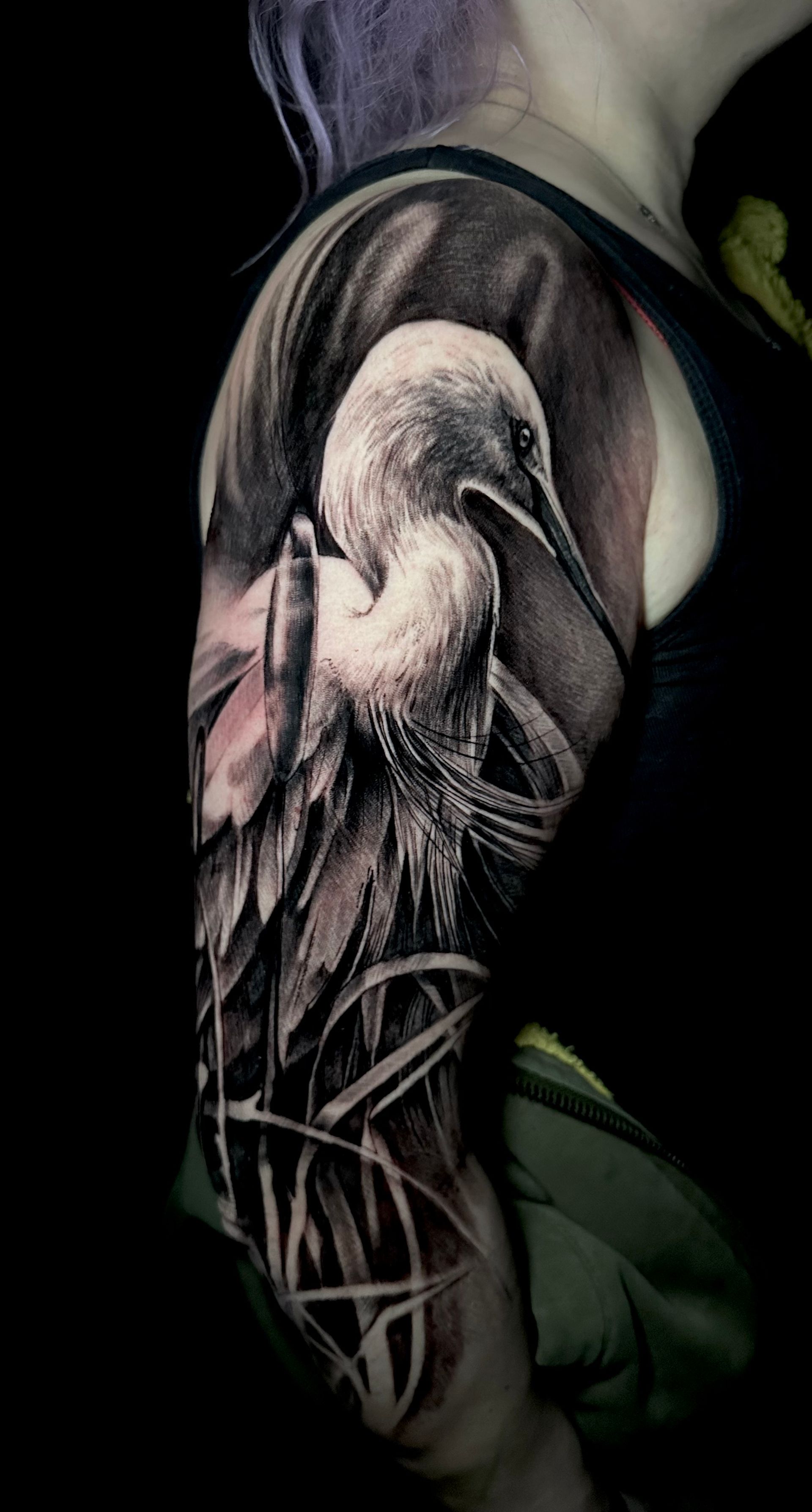 black and grey tattoo of a heron on a higher arm