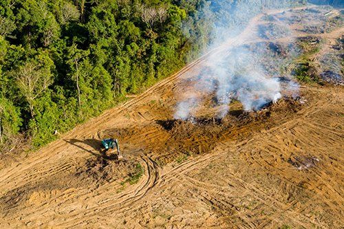 Landclearing — Greg Thompson Earthmoving in Pink Lily, QLD