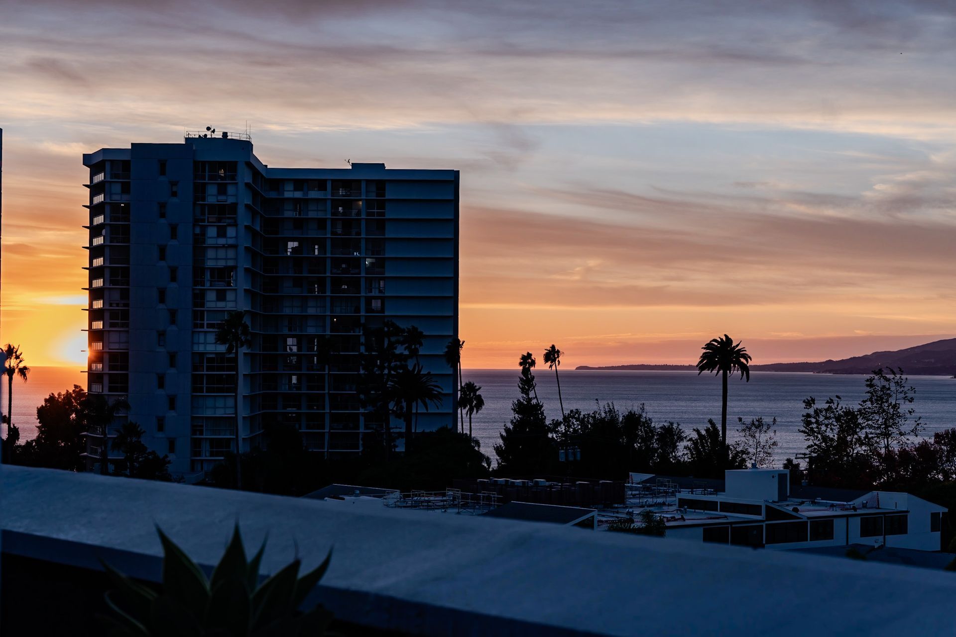 Sunset over an ocean and buildings; orange and blue sky, silhouetted palm trees, and a tall building.
