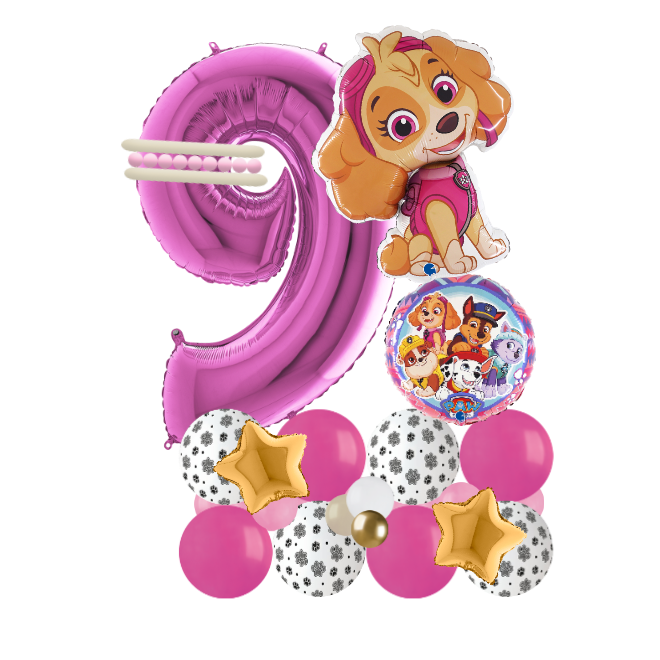 paw patrol sky signature number 9