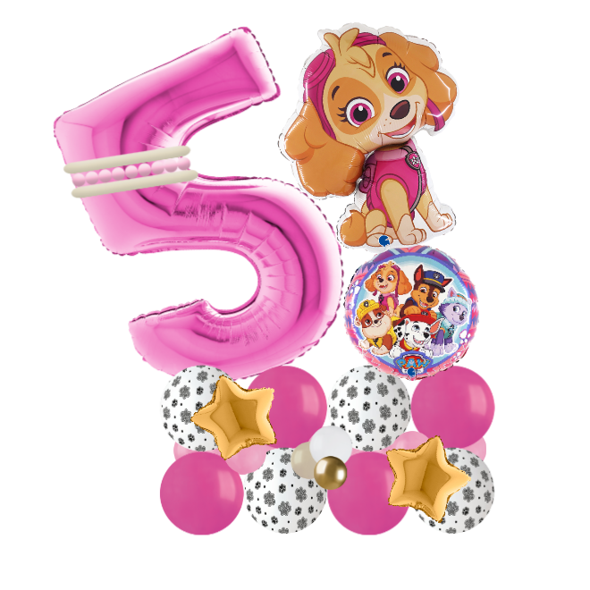 paw patrol sky signature number 5