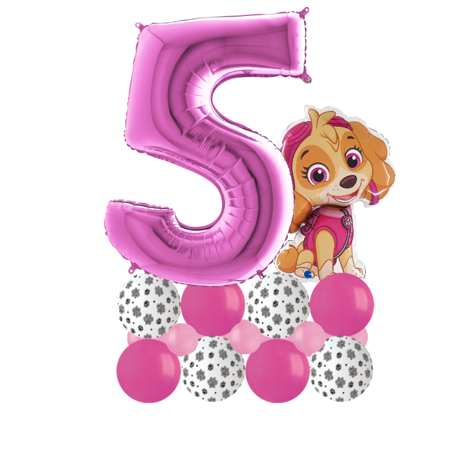 Paw patrol sky luxury number 5