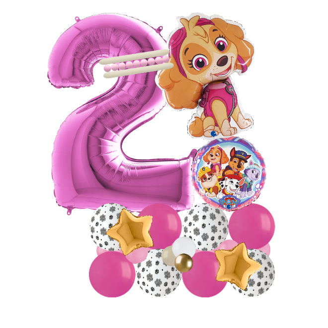 paw patrol sky signature number 2