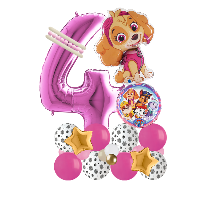 paw patrol sky signature number 4