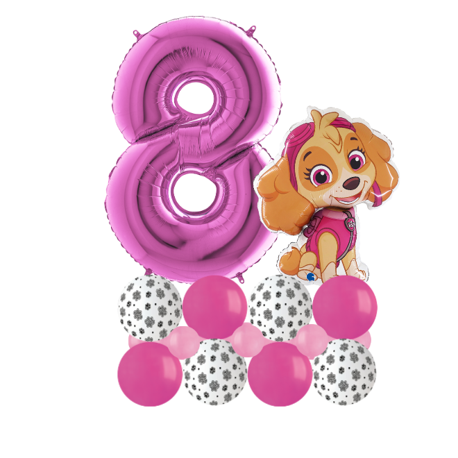 Paw patrol sky luxury number 8