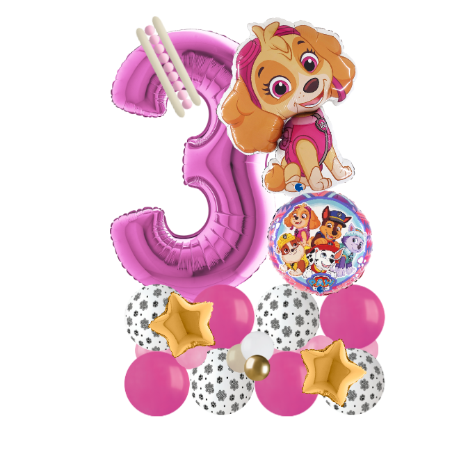 paw patrol sky signature number 3
