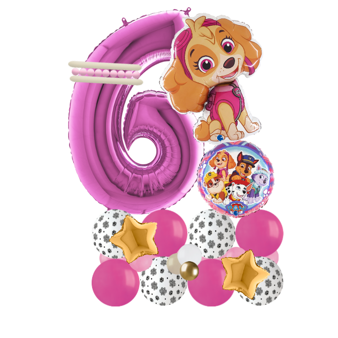 paw patrol sky signature number 6