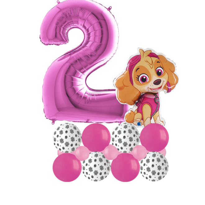 Paw patrol sky luxury number 2