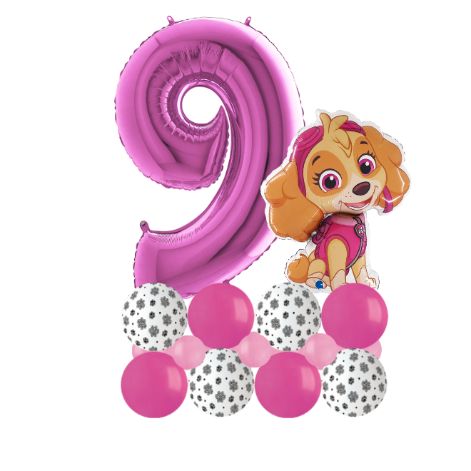Paw patrol sky luxury number 9