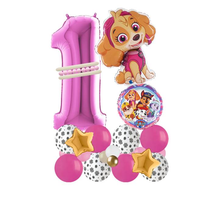 paw patrol sky signature number 1