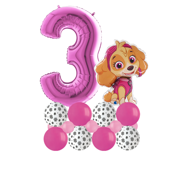 Paw patrol sky luxury number 3