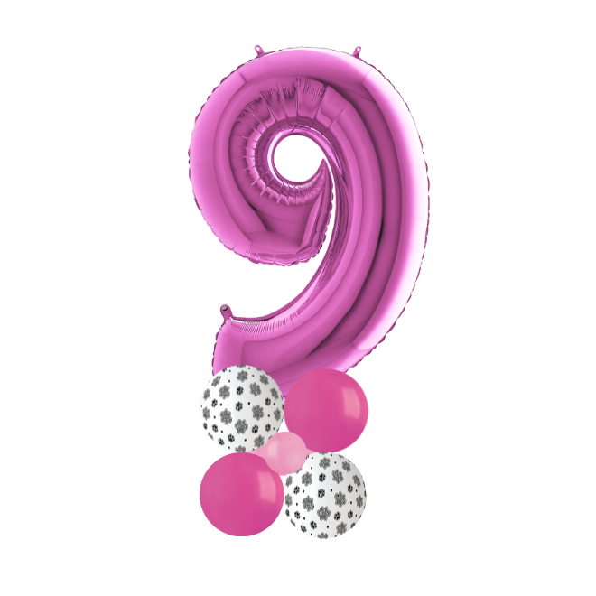 Paw patrol sky stack number 9